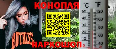 шишки Конаково